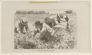 Jordbærbedet af Winslow Homer