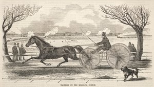 Trav på Mill Dam, Boston, 1859. af Winslow Homer