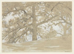 Waverly Oaks af Winslow Homer