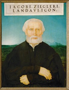 Humanisten Jakob Ziegler (maleri på lindetræ)