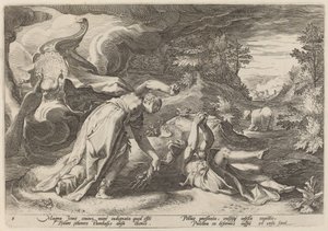 Juno gør Callisto til en bjørn