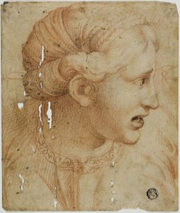 Kvindehoved i profil, vendt mod højre af Workshop of Raphael