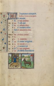 En mand der slagter et gris; Stjernetegnens stjernetegn