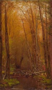 Birkene i Catskills
