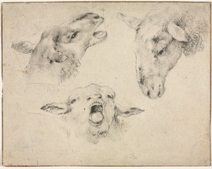 Fårehoveder, andet eller tredje kvartal 1800-tallet.
