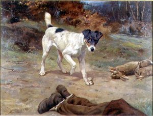 En Jack Russell ved et kaninhul