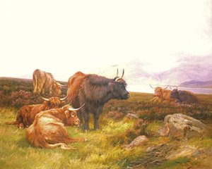 Highlanders ved en sø