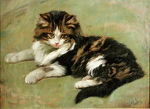 Studie af en kat (olie om bord)