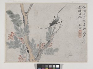 Insekt og træ efter Shen Zhou (blæk og farve på papir) af Wu Wang