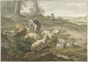 Geder og får i et bakket landskab