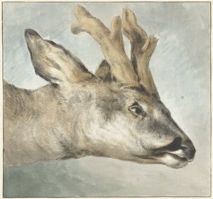 Hoved af en råbuk af Wybrand Hendriks