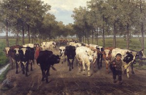 Meersstraat i Gent af Xavier de Cock