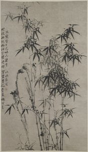 Bambus og sten, ca. 1760 (blæk på papir) af Xie Zheng