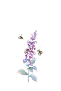 Akvarel: Bier og blomster af Xuan Thai
