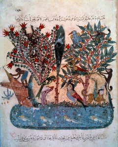 Den mystiske ø befolket med mærkelige dyr Miniature taget fra "Maqamat" (Seances) af Abu Mohammed al-Kasim ibn Ali Hariri (1054-1122) oplyst af Yahya Mahmud al-Wasiti (al Wasiti). ) i 1237, Paris, B.N. af Yahya ibn Mahmud Al Wasiti