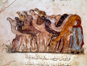 En gruppe af kameler og kameler, karavane i ørkenen. Side af "" Maqamat"" (Seances), pikaresk digt fra det 11. århundrede af den arabiske digter Abu Mohammed al-Kasim ibn Ali Hariri (eller Al-Hariri eller Al Hariri) (1054-1122) illustreret af Al-Wasiti (al af Yahya ibn Mahmud Al Wasiti