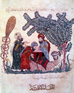 den borgerlige al-Harith (Al Harith), søn af Hammam, opdager en besked fra den omvandrende navigatør Abu-Zayd (Abu Zayd) -Hariri eller Al Hariri) (1054-1122) oplyst af Yahya ibn Mahmud Al Wasiti