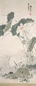 Hejre og lotus, n.d.