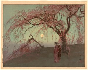Kumoi kirsebærtræer (Kumoi sakura)