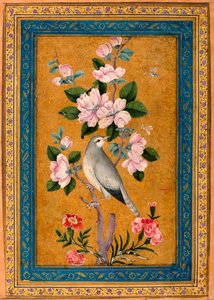 Fugl, der sidder på en blomstrende gren, 1696. af Yusuf Zaman