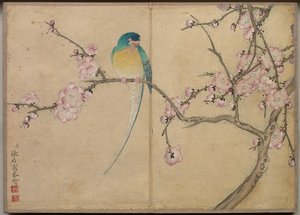 Skrivebordsalbum: Flower and Bird Paintings Bird with Plum Blossoms, 1700-tallet.