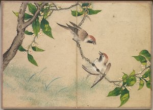 Skrivebordsalbum: Flower and Bird Paintings Gossiping Sparrows, 18th Century.