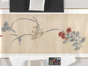 Farvede blomster