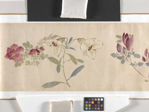 Farvede blomster