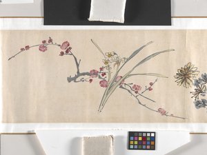 Farvede blomster