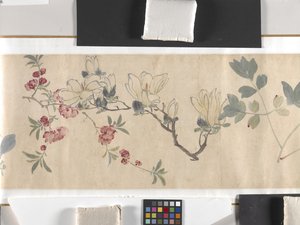 Farvede blomster