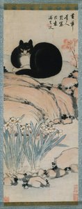Sort kat og narcissus, 1800-tallet. af Zhu Ling