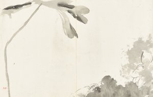 Landskaber og blomster, album med seks blade
