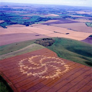 Korncirkel i hvedemark, Milk Hill, Alton Priors, Vale of Pewsey, Wiltshire