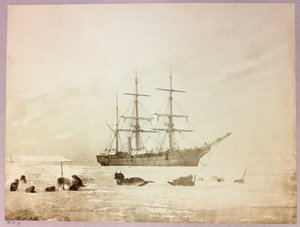 Arktisk ekspedition (1875-1876) af kaptajn George Nares (1831-1915): H af Frederick (attr. to) Barnard