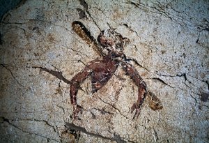 Fresco, Kos, Grækenland (foto)
