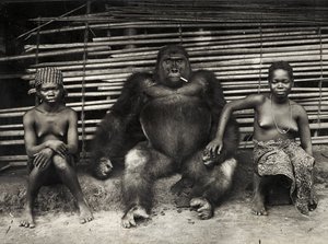 Gorilla (gelatine sølv print) af Hippolyte Lalaise Devéria
