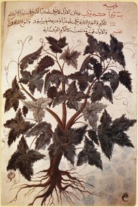 Herbals Vine af Ferdinand Georg Waldmuller