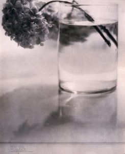 Hortensia, c 1907 af John Pardon