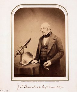 James Scott Bowerbank, britisk geolog af Ferdinand Georg Waldmuller