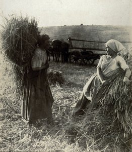 Høstmaskinerne, omkring 1900 af Frederick (attr. to) Barnard
