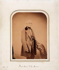 Samuel F B Morse, amerikansk kunstner og opfinderen af morsekoden, c 1870 af Frederick (attr. to) Barnard