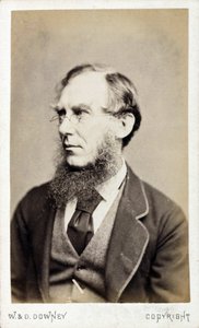 Sir Joseph Dalton Hooker, britisk botaniker, slutningen af det 19. århundrede af Ferdinand Georg Waldmuller