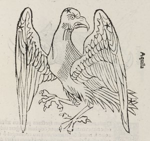 Stjernebilledet Aquila af John Pardon