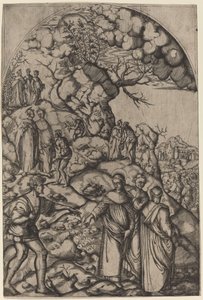 Sankt Filippo Benizzi helbreder en tigger af after Andrea del Sarto