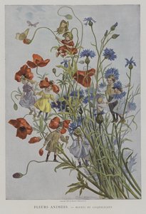Fleurs Animees. Bleuets et Coquelicots. (Animerede blomster: kornblomster og valmuer)