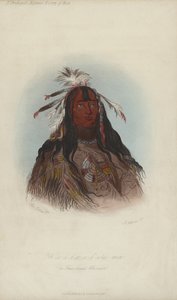 H?co-a-h?co-a-h?cotes-min, A Flat Head Warrior (akvatint)