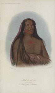 Mah-to-toh-pa, The Four Bears, 2nd Chief Of The Mandans (akvatint)
