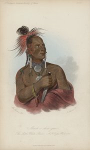 Meach-o shin-gaw, The Little White Bear, A Konza Warrior (akvatint)