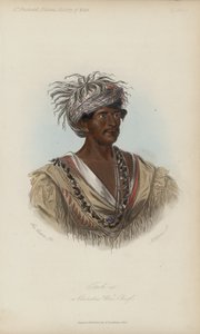 Tuch-ee, en Cherokee War Chief (akvatint)