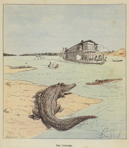 Alligatorerne af after Louis Charles Bombled